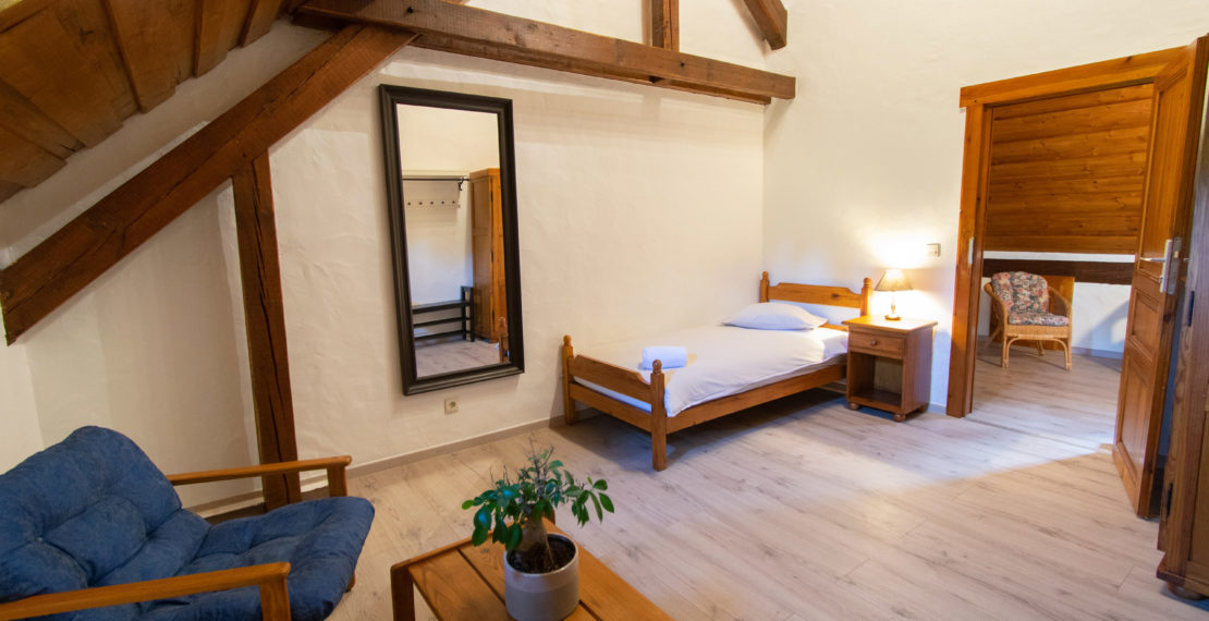 Single room with mirror and sofa